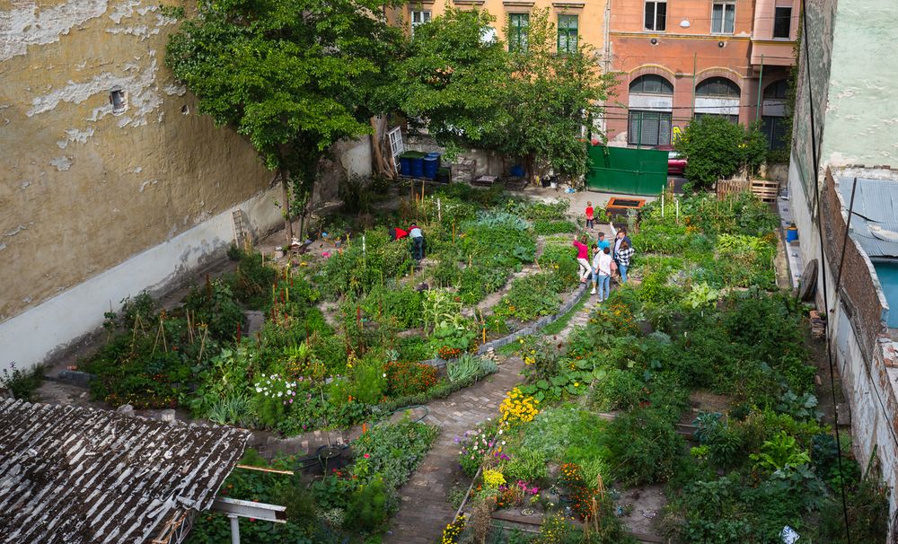 Ubicación del Huerto del Barrio